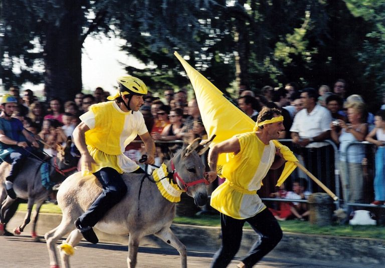 Palio dell’Asino di Lissaro, Lissaro - Mestrino (PD), Veneto, fotografo: Renzo Paccagnella, archivio ICPI